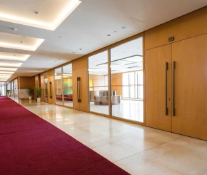 Tham khảo mẫu cửa gỗ kính đẹp, được ưa chuộng năm 2024